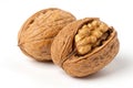 Close-Up of Fresh Walnut Isolated on White Background Royalty Free Stock Photo