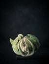 Close-up of a fresh white and green cauliflower isolated on dark background. copy space for text Royalty Free Stock Photo