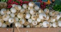 Close up on fresh white onion at the farmers market Royalty Free Stock Photo