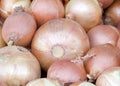 Close up on fresh yellow onions piled up for sale at farmers market Royalty Free Stock Photo