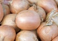 close up on fresh yellow onions piled up for sale at farmers market Royalty Free Stock Photo