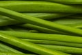 Close up fresh young onion,bunch of fresh shallots,Fresh chives, fresh young onion,green onions feathers heap macro surface Royalty Free Stock Photo