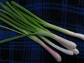 Close Up of Fresh Young Red Onions on Colorful Fabric Royalty Free Stock Photo