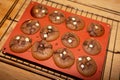 Close up of freshly baked chocolate muffins on muffin pan Royalty Free Stock Photo