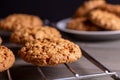 Close-up of a freshly baked stack of warm oatmeal cookies on a cooling rack on a dark background