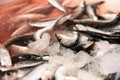 Close-Up Of Freshly Caught Sardines With Red Colored Ice From Blood In The Fish Market