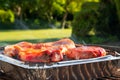 Close-up of freshly made burgers and chops on a camping BBQ in a garden setting. Royalty Free Stock Photo