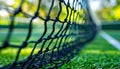 Close up of freshly mown grass court, perfect setting for the upcoming tennis tournament Royalty Free Stock Photo