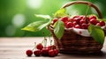close-up freshly picked cherries and cherries leaves in a basket on a wooden table, an atmosphere with soft and white tones Royalty Free Stock Photo