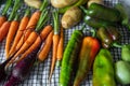 Close-up of freshly picked vegetables. Organic vegetebles on a table: zucchini, beets, peppers, potatoes, carrots on a