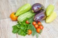 Close up of freshly pickled harvest of vegetbles - bell pepper, drill and tomatoes on wooden table. Rustic style. Organic healthy Royalty Free Stock Photo