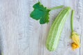 Close up of freshly pickled harvest of vegetbles - bell pepper, drill and tomatoes on wooden table. Rustic style. Organic healthy Royalty Free Stock Photo