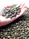 Close-up of freshly roasted brown aromatic coffee beans. Royalty Free Stock Photo