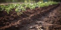 close-up of a freshly tilled garden bed two generative AI Royalty Free Stock Photo