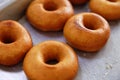 Close-up fried doughnut on a baking tray sweet treat dessert cooked wheaten food