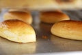 Close-up bums baked bread on a baking tray sweet treat dessert cooked wheaten food