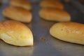 Close-up bums baked bread on a baking tray sweet treat dessert cooked wheaten food