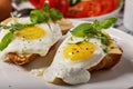 Close-up of fried eggs with spices, fresh basil and herbs on a white plate. Morning food still life. Tasty breakfast Royalty Free Stock Photo