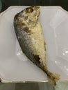 Close up fried mackerel on the white plate