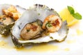 Close up of fried oysters and shrimps in a shell Royalty Free Stock Photo