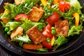Tofu salad with greens and vegetables in bowl Royalty Free Stock Photo