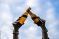 close-up of friends toasting with beer bottles in their hands