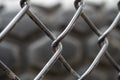 Close up of a froast fence