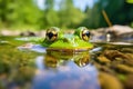 close-up of a frog in a polluted pond