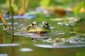 close-up of a frog in a polluted pond