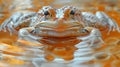 A close up of a frog sitting in the water with bubbles around it, AI Royalty Free Stock Photo