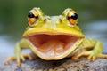 a close-up of a frogs mouth plagued by stomatitis