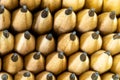 Close-up. Front of a group of pencils that are stacked together
