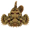 Close-up front view of a camouflaged stonefish revealing intricate textures and patterns on its head Royalty Free Stock Photo