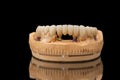 Close-up front view of a dental lower jaw prosthesis on black glass background. Artificial jaw with veneers and crowns