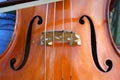 Close up front view of detail of a cello string music instrument.