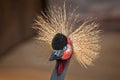 Close up of front view of head of a Grey Crested Crane Royalty Free Stock Photo