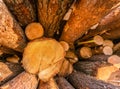 A close up front view of a pile of freshly cut trees striped of branches and prepared for the saw mill, the logging industry Royalty Free Stock Photo