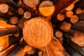 A close up front view of a pile of freshly cut trees striped of branches and prepared for the saw mill part of the logging