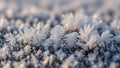 Frost crystals on snow surface winter. Royalty Free Stock Photo