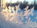 Close-up of frost patterns on a window, creating intricate designs Royalty Free Stock Photo