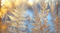 Close-Up of a Frosted Glass Window