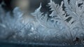 a close up of a frosted glass window with a plant in the foreground and a blurry image of a plant in the background Royalty Free Stock Photo