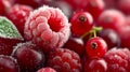 Close-up of frosted raspberries and red currants, covered in tiny ice crystals Royalty Free Stock Photo