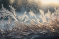 a close up of a frosted window with a plant in the foreground Royalty Free Stock Photo