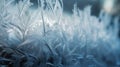 a close up of a frosted window with a plant in the foreground and a blurry background of the outside of the window