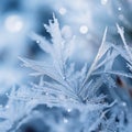 close up of frosty leaves on a blue background Royalty Free Stock Photo