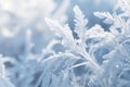 a close up of frosty leaves on a sunny day Royalty Free Stock Photo