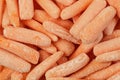 Close up of frozen Baby Carrots with copy space