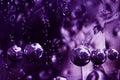 Close-up of frozen bubbles in an ice block in ultra violet