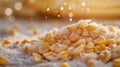 Close-up of Frozen Corn Kernels Covered in Frost Royalty Free Stock Photo